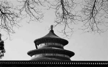 写物作文最新5篇