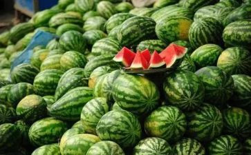 体育游戏切西瓜教案8篇