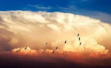 我最喜欢的人500字作文模板7篇