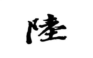 关于姓陆的调查报告作文8篇