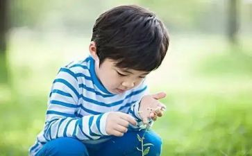 小学兴趣班活动方案7篇
