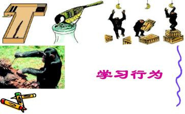 学校行为规范自查报告6篇