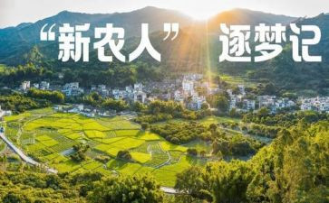 新农村调研报告7篇