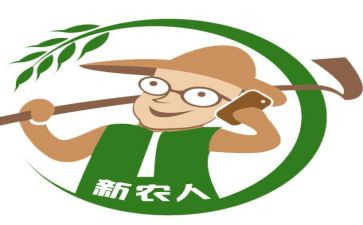 村新农合工作个人总结优质6篇