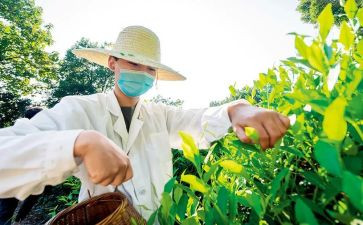 新农村建设的调研报告8篇