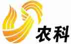 新农村建设的调研报告5篇