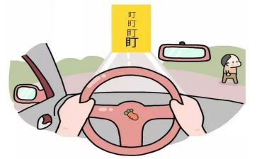 教师新手的工作总结7篇
