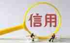2023年信用社员工个人述职报告7篇