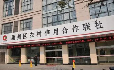 信用社个人述职报告范文6篇