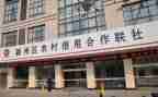 信用社个人述职报告范文6篇