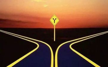 我选择“小”作文精选5篇