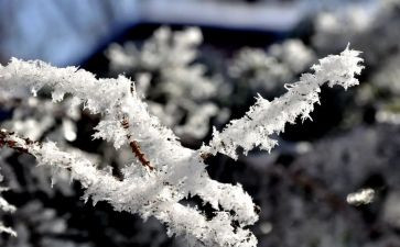 除雪先进个人优秀事迹优质5篇