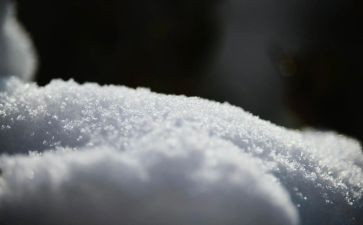 雪的足迹作文8篇