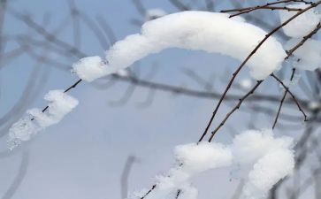 除雪先进个人优秀事迹精选8篇