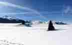高速公路除雪工作总结模板8篇