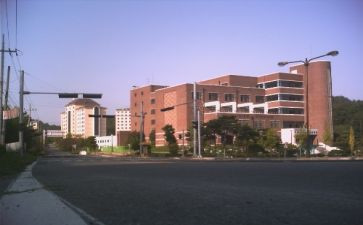 小学部教学计划6篇