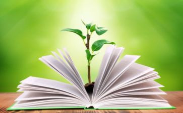 小学语文六年级学期教学工作总结6篇