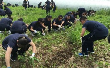 小学农村培训心得体会6篇