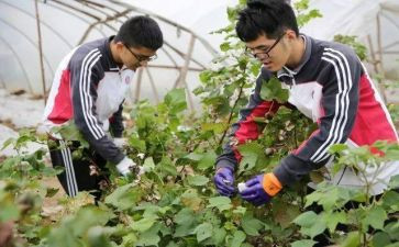 大学农村调查报告8篇