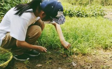 学农心得体会推荐7篇