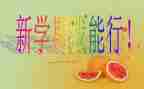 小学期心得体会800精选6篇
