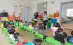 学前教育教育调研报告8篇