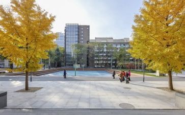 2023年培训学校自查报告6篇