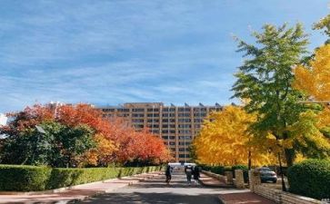 2023年学校安全自查报告最新8篇