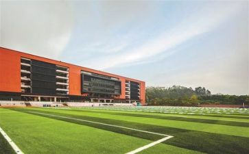 在学校的个人总结报告5篇