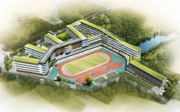 义务标准学校自查报告5篇