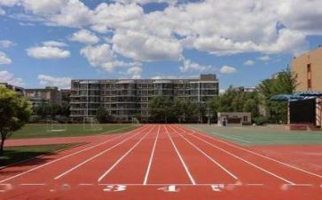 学校查整改报告8篇