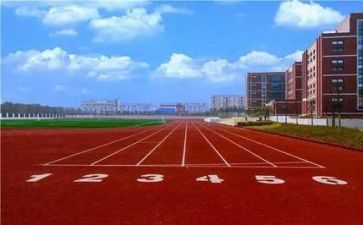 学校校长述职报告2023最新5篇
