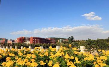在学校的体会心得体会优秀6篇