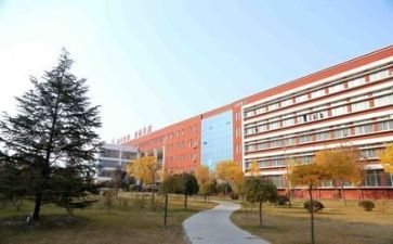 学校财务人员述职报告范文7篇