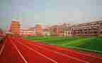 2022年小学校长述职报告7篇
