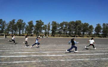 学校体育个人述职报告5篇