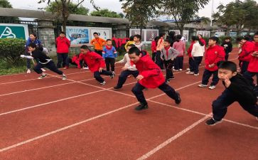 小学学校体育教学计划6篇