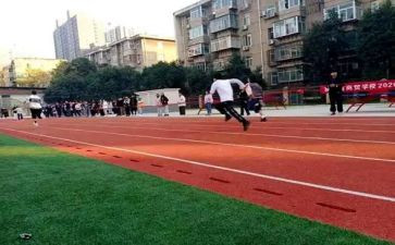 学校体育教师述职报告8篇