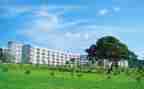 学院教师辞职报告5篇