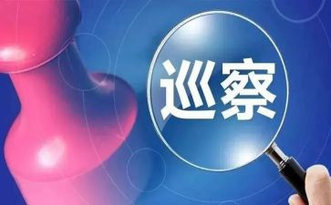 2023巡察干部述职报告6篇