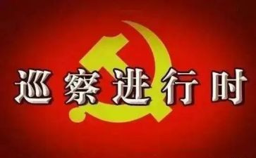 巡察组对村巡察工作报告5篇