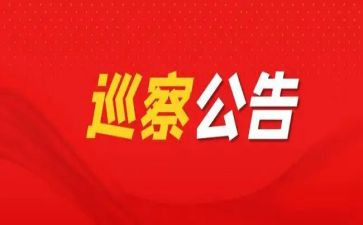 巡察员述职述廉报告8篇