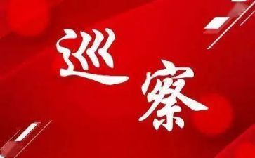 党组巡察整改报告5篇