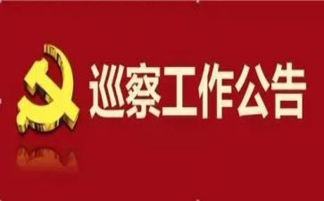 对村巡察工作总结6篇