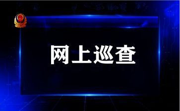 年巡查总结报告5篇