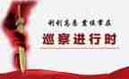 巡察组长工作个人总结6篇