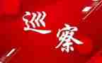 党组巡察整改报告5篇