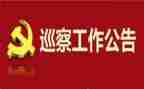对村巡察工作总结6篇