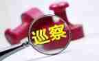 向巡察组的工作报告8篇