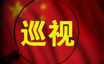 巡视件整改报告8篇